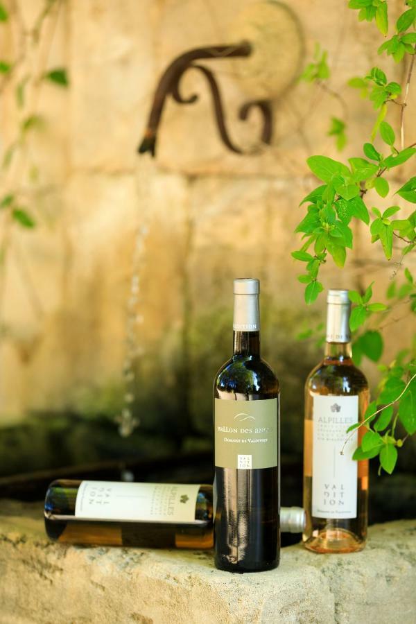 마스 발렌타인 호텔 Saint-Rémy-de-Provence 외부 사진
